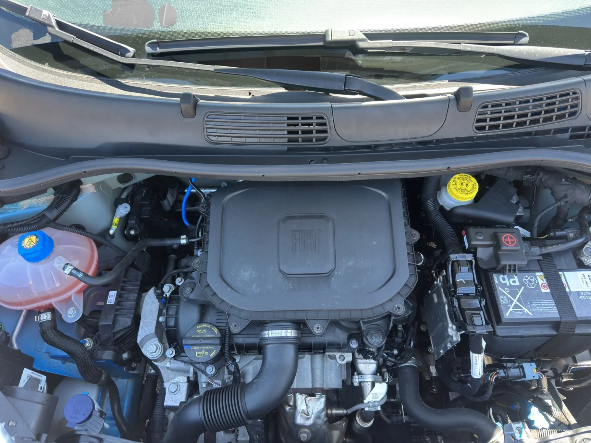 Fiat Panda 1.0 HYBRID 2024 — foto 19 di 19