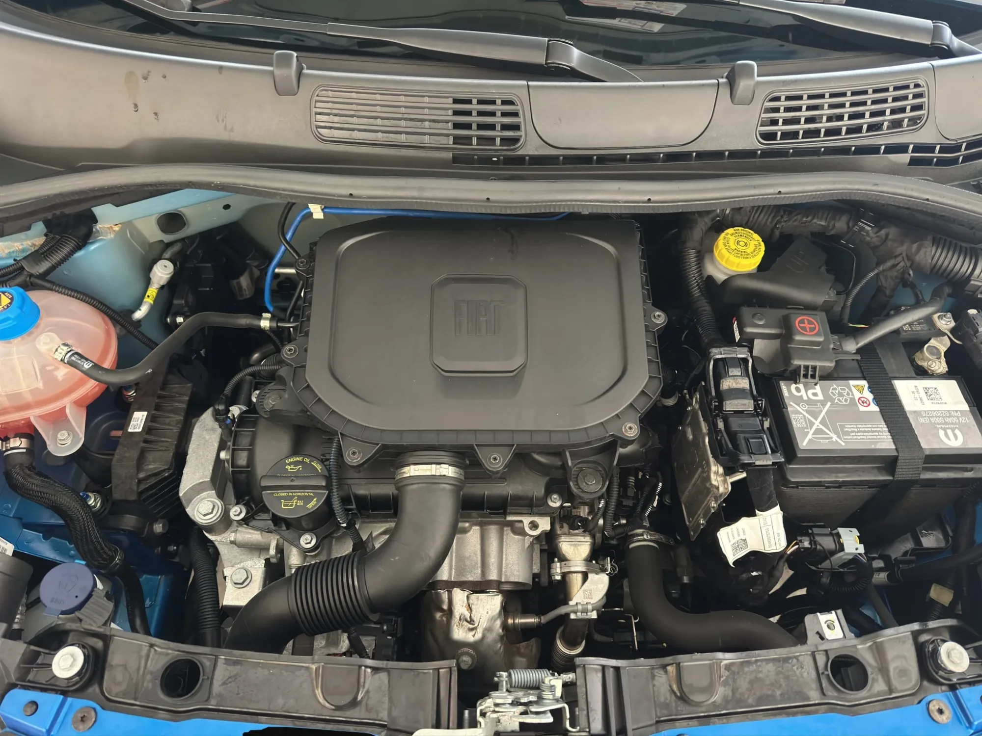 Fiat Panda 1.0 HYBRID 2023 — foto 16 di 17