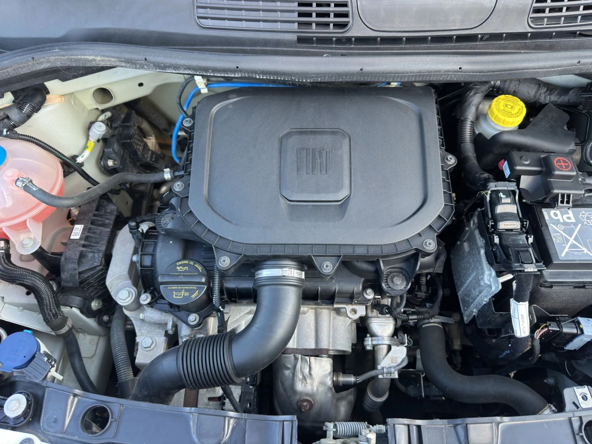 Fiat Panda 1.0 70 Cv. Hybrid City Life 2022 — foto 19 di 21