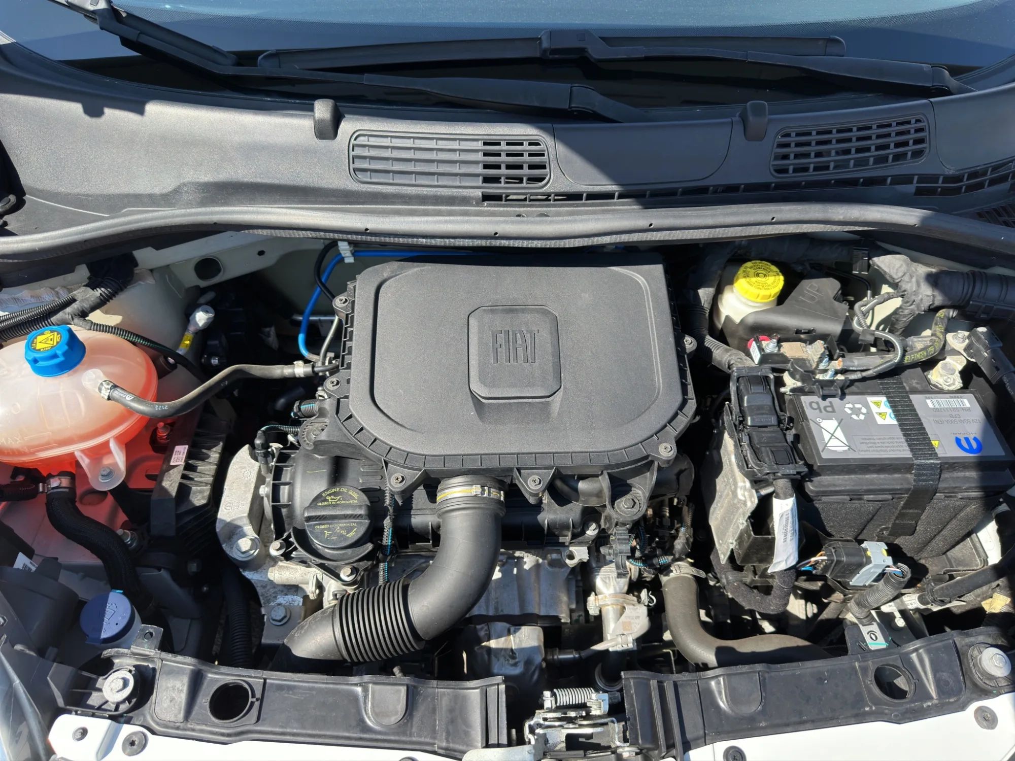 Fiat Panda 1.0 70 Cv. Hybrid 2022 — foto 19 di 20