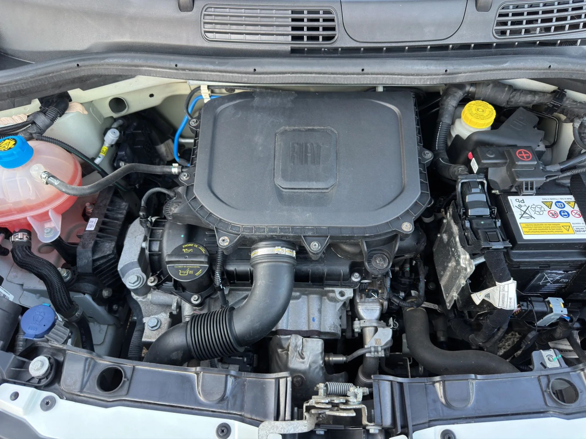 Fiat Panda 1.0 70 Cv. Hybrid City Life 2022 — foto 20 di 20